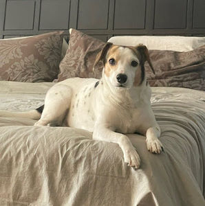 Meet your Posher, Maxwell